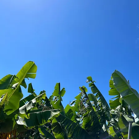 As Casinhas Da Madeira - Cosy Stone In A Subtropical Garden * Арку-да-Кальета