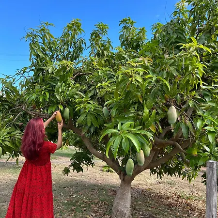 Дом отдыха As Casinhas Da Madeira - Cosy Stone In A Subtropical Garden
