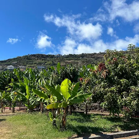 Дом отдыха As Casinhas Da Madeira - Cosy Stone In A Subtropical Garden Арку-да-Кальета