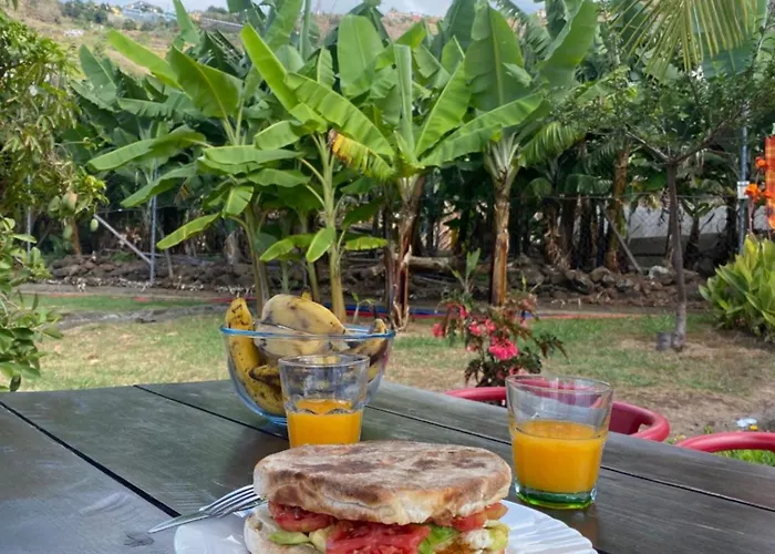 As Casinhas Da Madeira - Cosy Stone In A Subtropical Garden * Arco da Calheta (Madeira)
