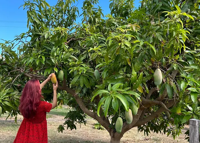 Ferienhaus As Casinhas Da Madeira - Cosy Stone In A Subtropical Garden