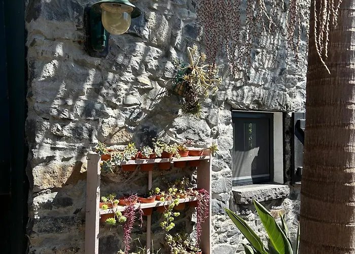 Ferienhaus As Casinhas Da Madeira - Cosy Stone In A Subtropical Garden
